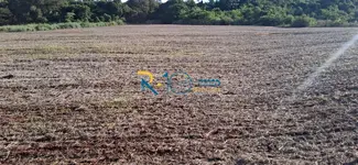 Imagem 11
