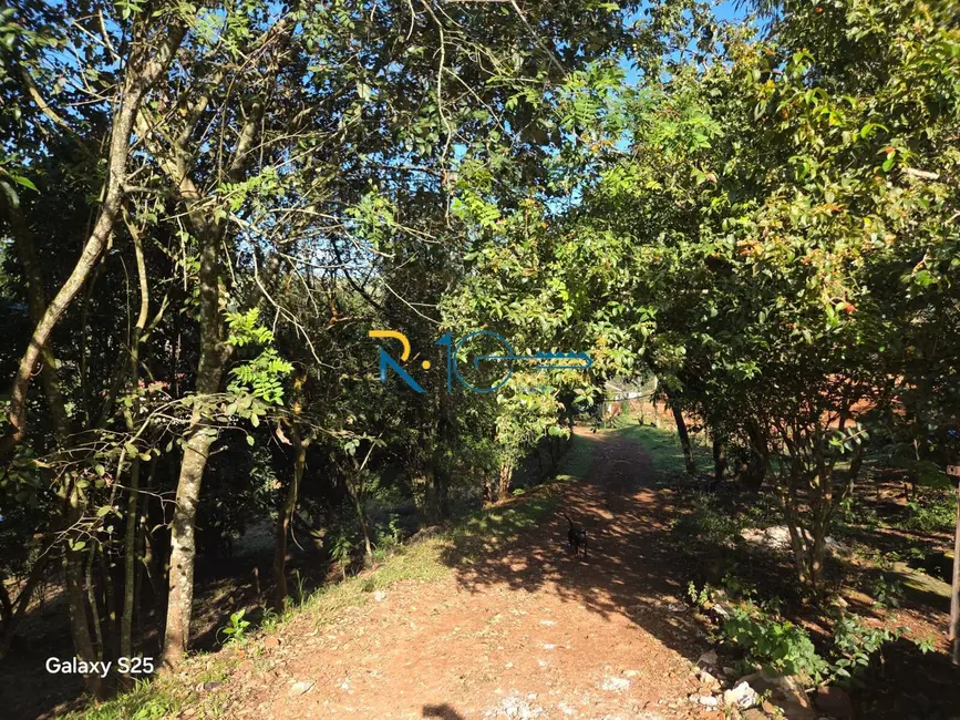 Foto 13 de Chácara à venda, 6046m2 em Chácaras São Miguel, Londrina - PR