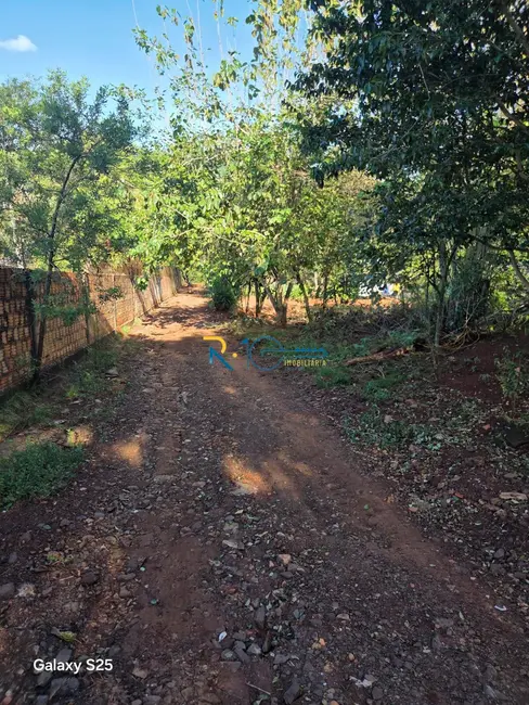 Foto 18 de Chácara à venda, 6046m2 em Chácaras São Miguel, Londrina - PR