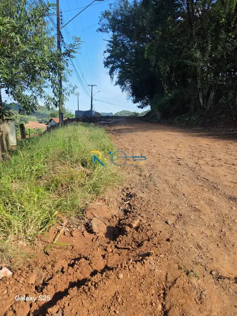 Foto 9 de Chácara à venda, 6046m2 em Chácaras São Miguel, Londrina - PR