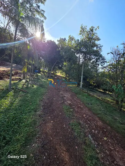 Foto 11 de Chácara à venda, 6046m2 em Chácaras São Miguel, Londrina - PR