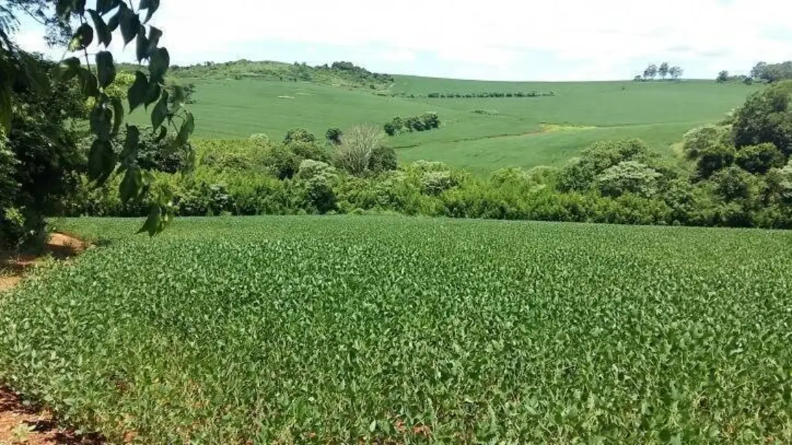 Foto 18 de Sítio / Rancho à venda em Londrina - PR