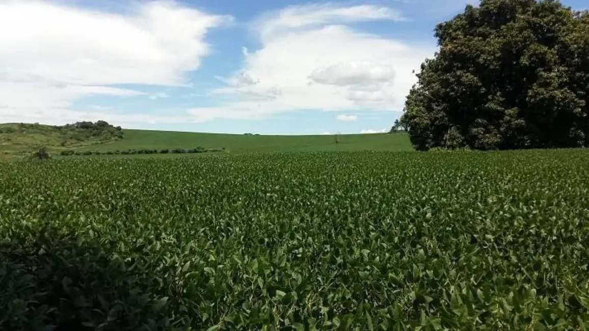 Foto 17 de Sítio / Rancho à venda em Londrina - PR