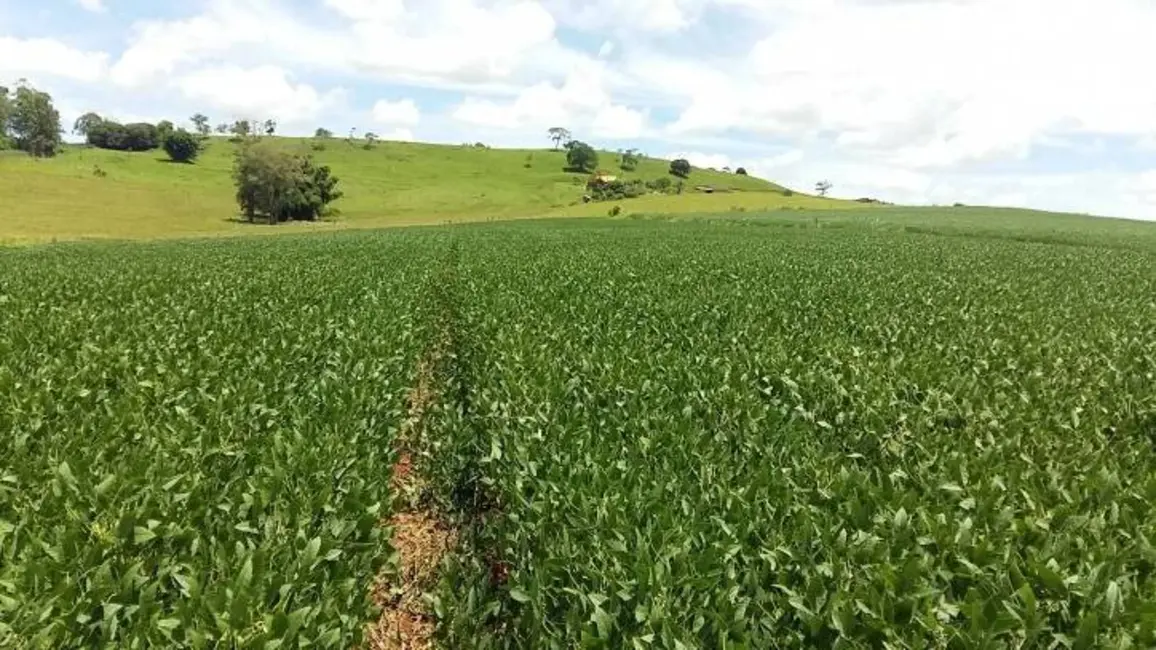 Foto 21 de Sítio / Rancho à venda em Londrina - PR