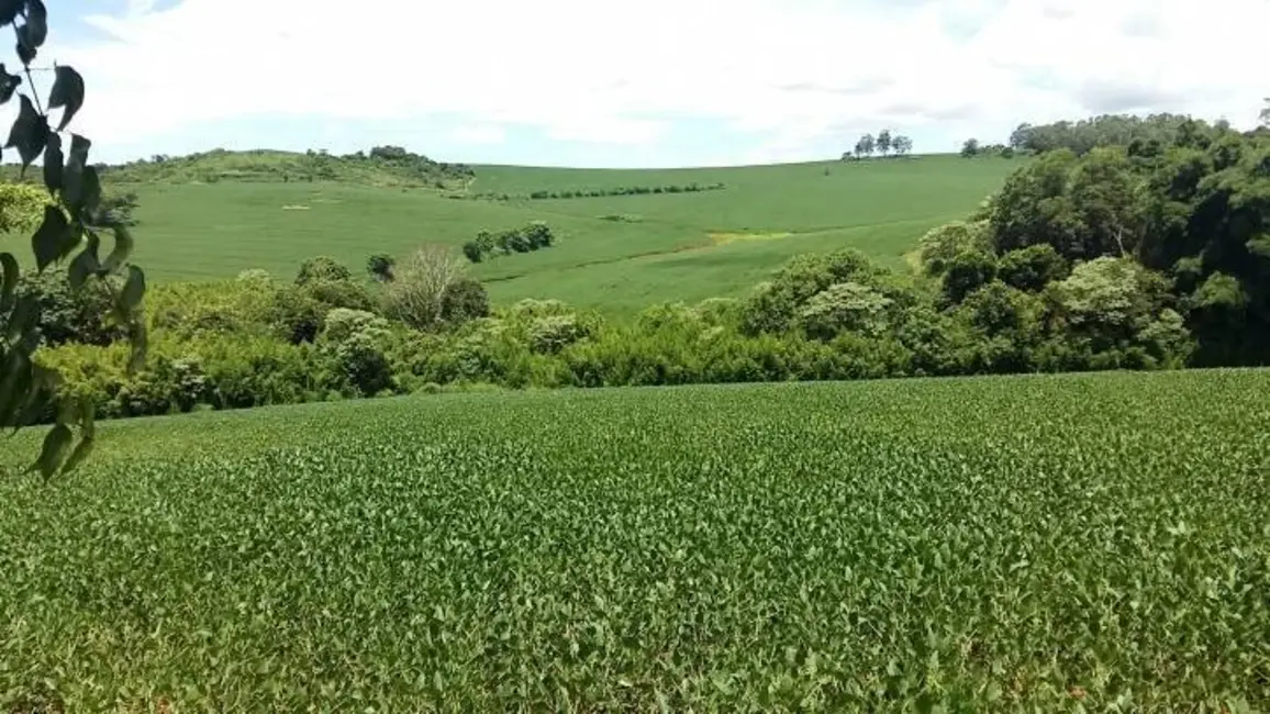 Foto 19 de Sítio / Rancho à venda em Londrina - PR