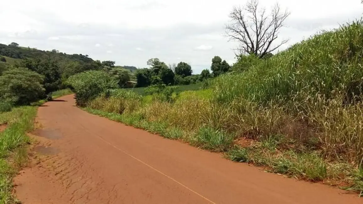 Foto 2 de Sítio / Rancho à venda em Londrina - PR