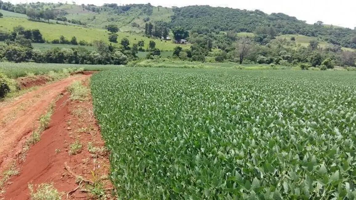Foto 11 de Sítio / Rancho à venda em Londrina - PR