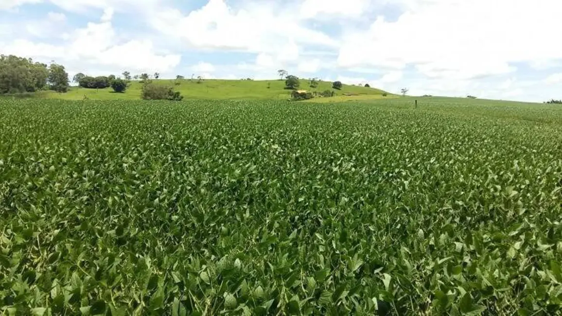Foto 20 de Sítio / Rancho à venda em Londrina - PR