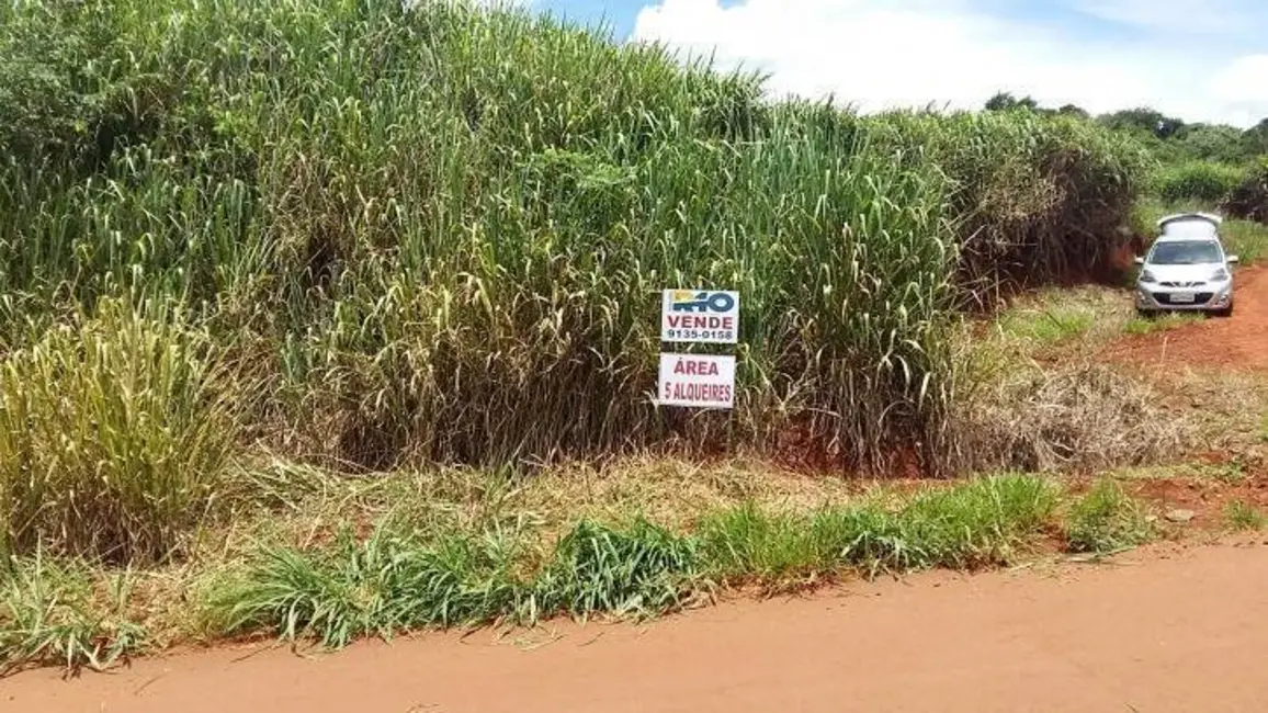 Sítio / Rancho à venda em Londrina - PR - imagem 4 Foto 4 de Sítio / Rancho à venda em Londrina - PR