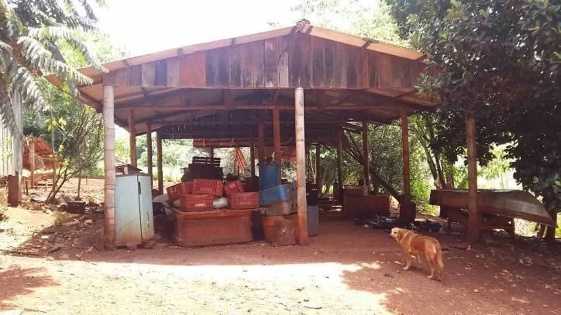 Foto 16 de Sítio / Rancho à venda em Londrina - PR