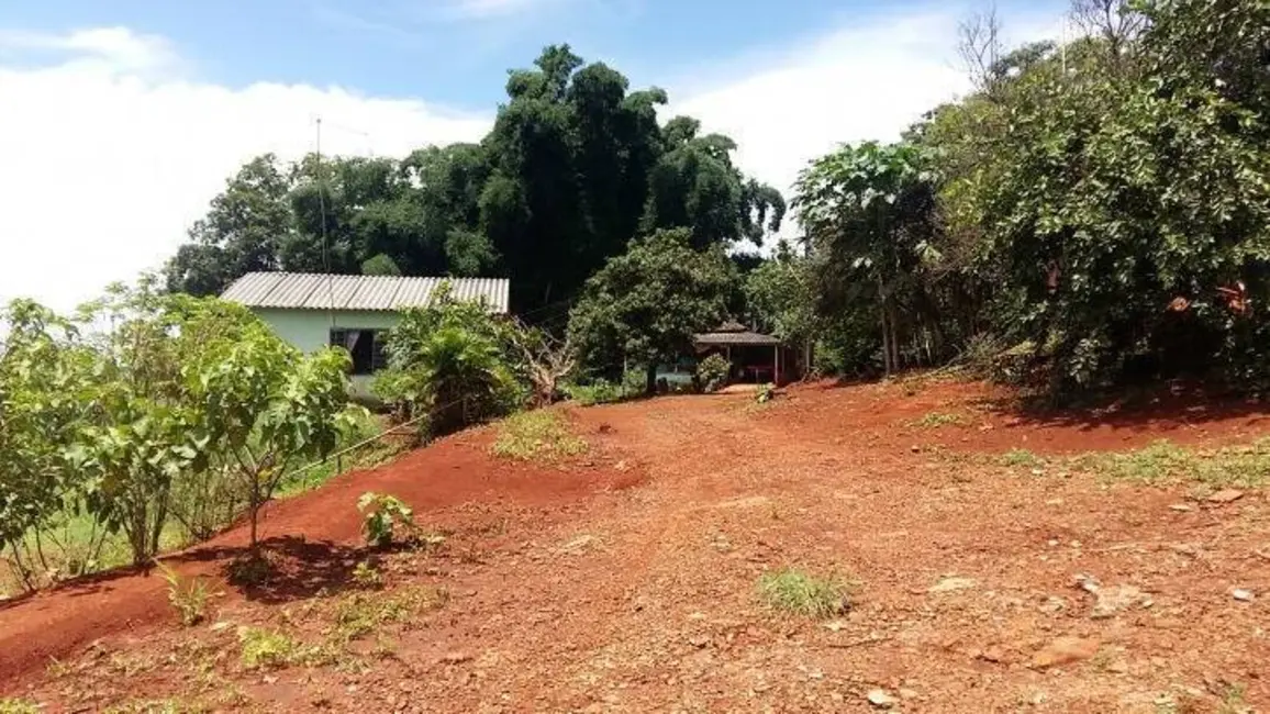 Foto 15 de Sítio / Rancho à venda em Londrina - PR