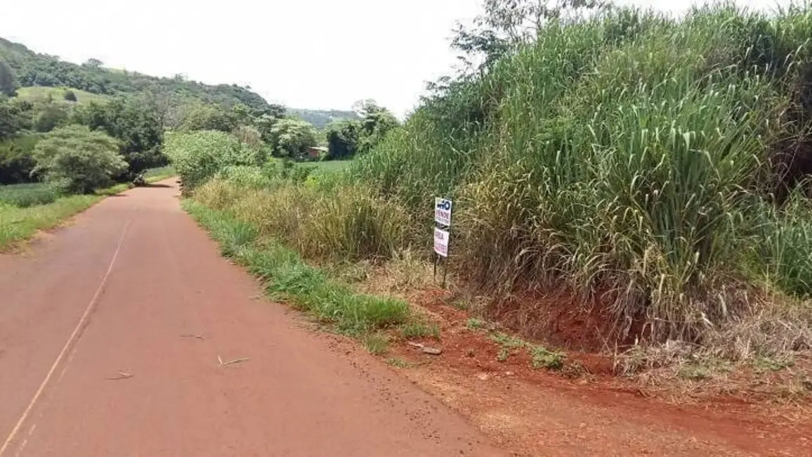 Foto 1 de Sítio / Rancho à venda em Londrina - PR