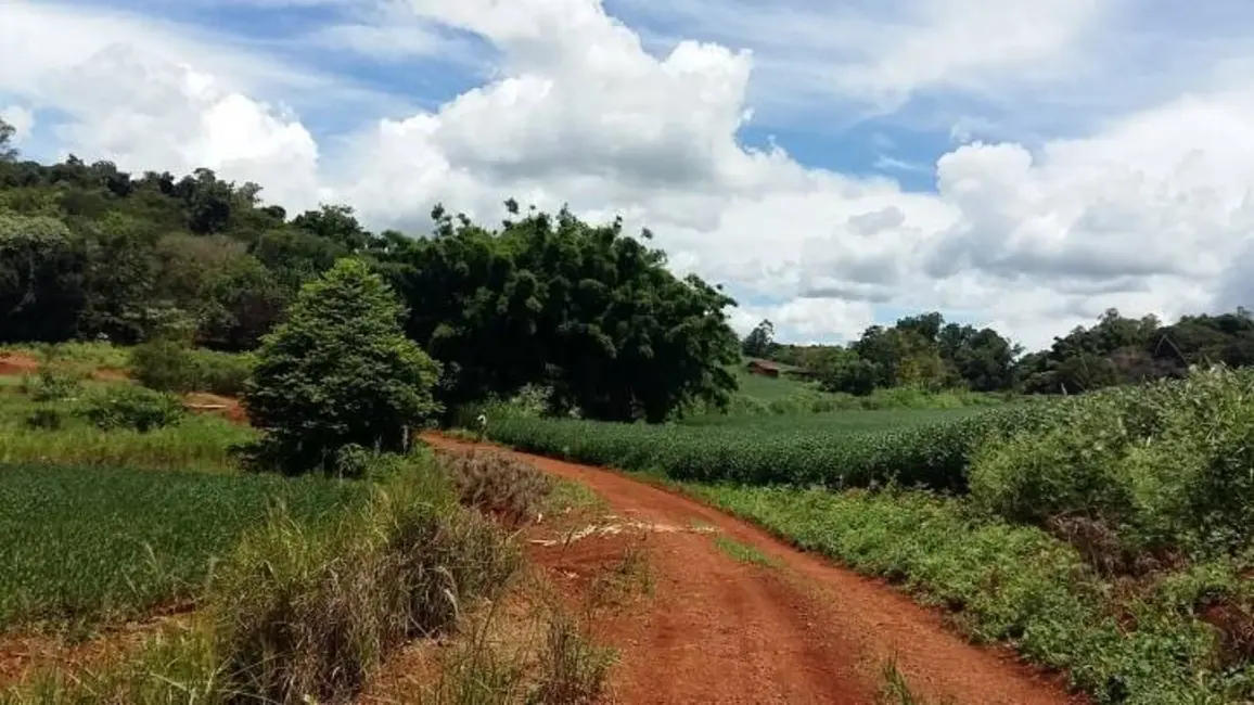 Foto 12 de Sítio / Rancho à venda em Londrina - PR