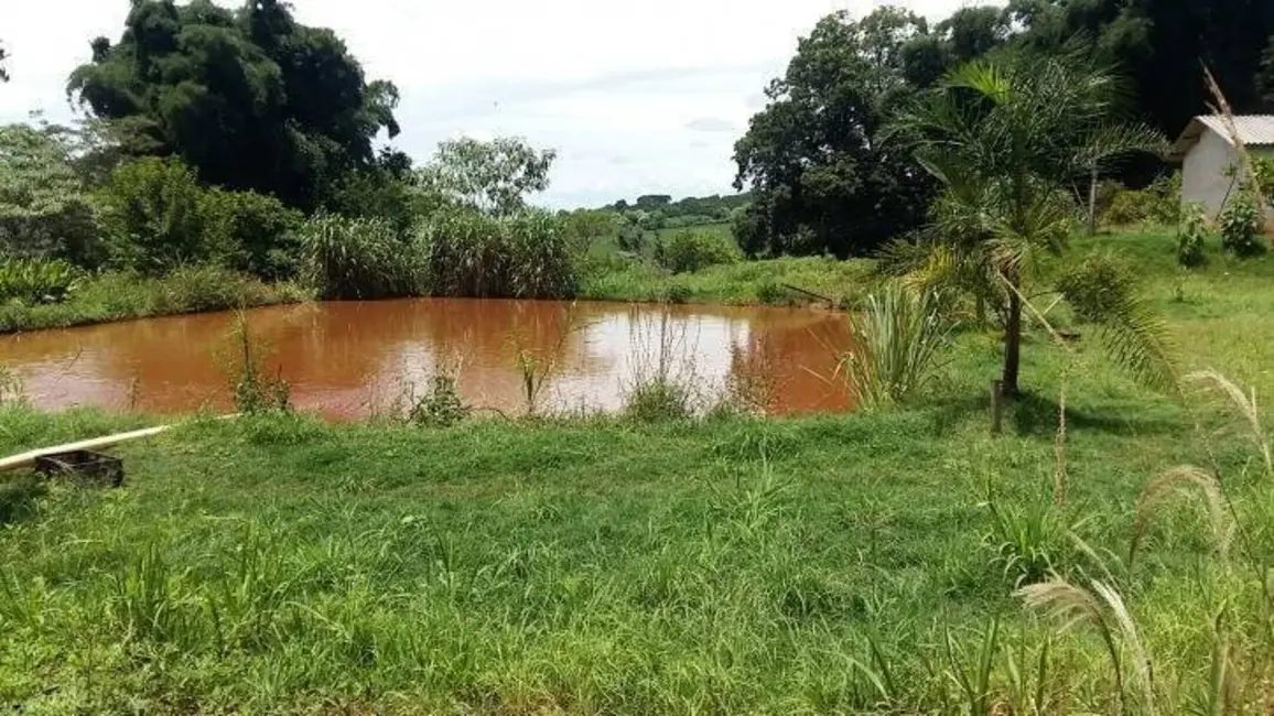 Foto 13 de Sítio / Rancho à venda em Londrina - PR