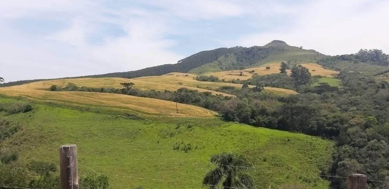 Foto 8 de Fazenda / Haras à venda, 60m2 em Reserva - PR