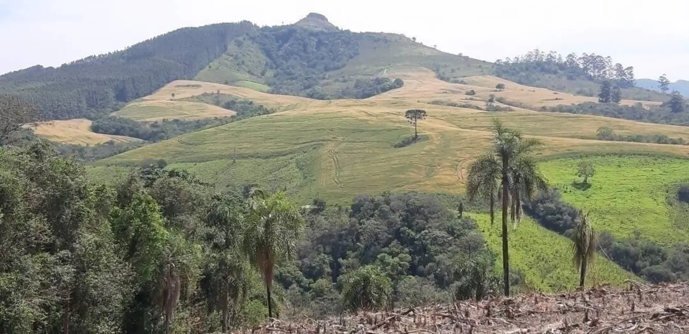 Foto 4 de Fazenda / Haras à venda, 60m2 em Reserva - PR