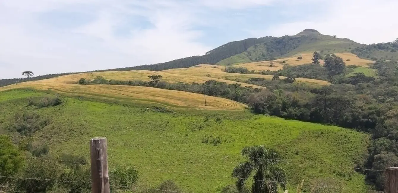 Foto 7 de Fazenda / Haras à venda, 60m2 em Reserva - PR