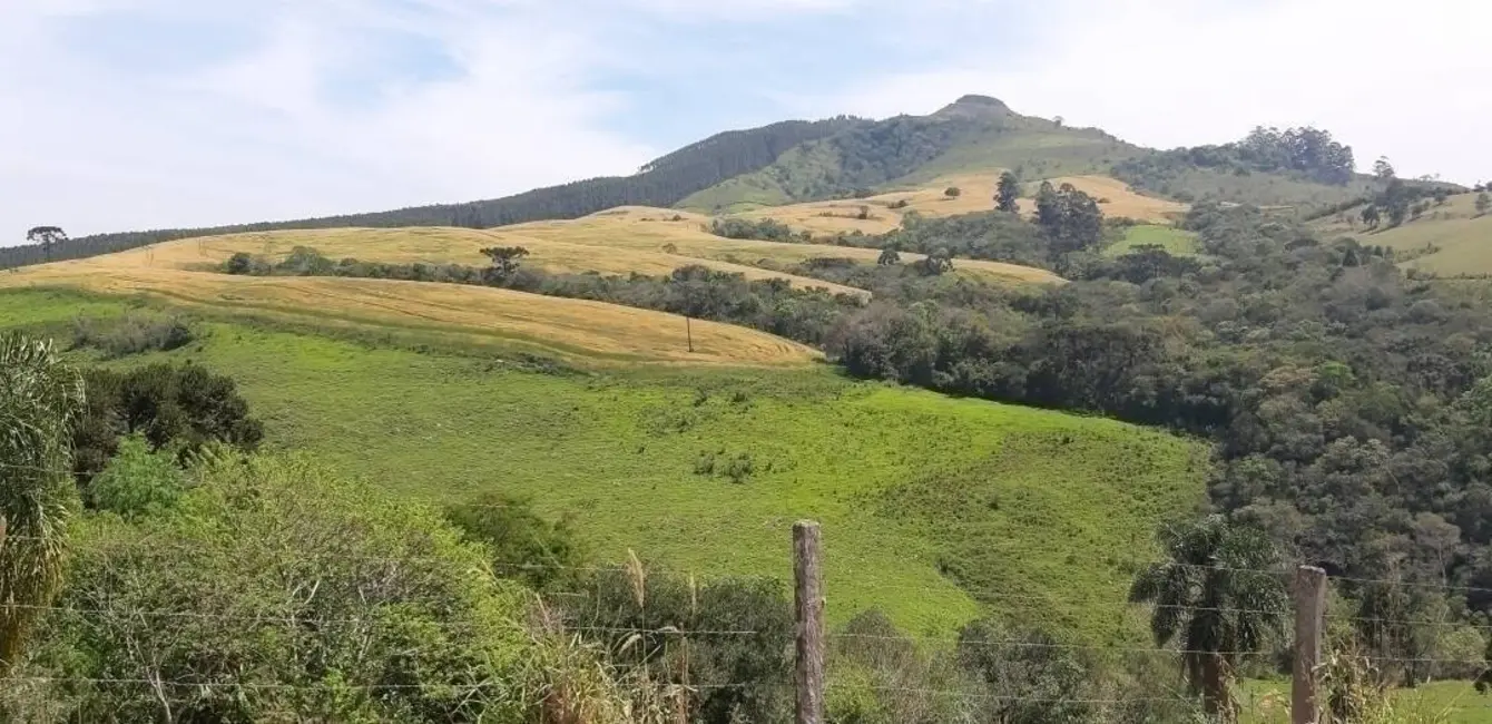 Foto 5 de Fazenda / Haras à venda, 60m2 em Reserva - PR