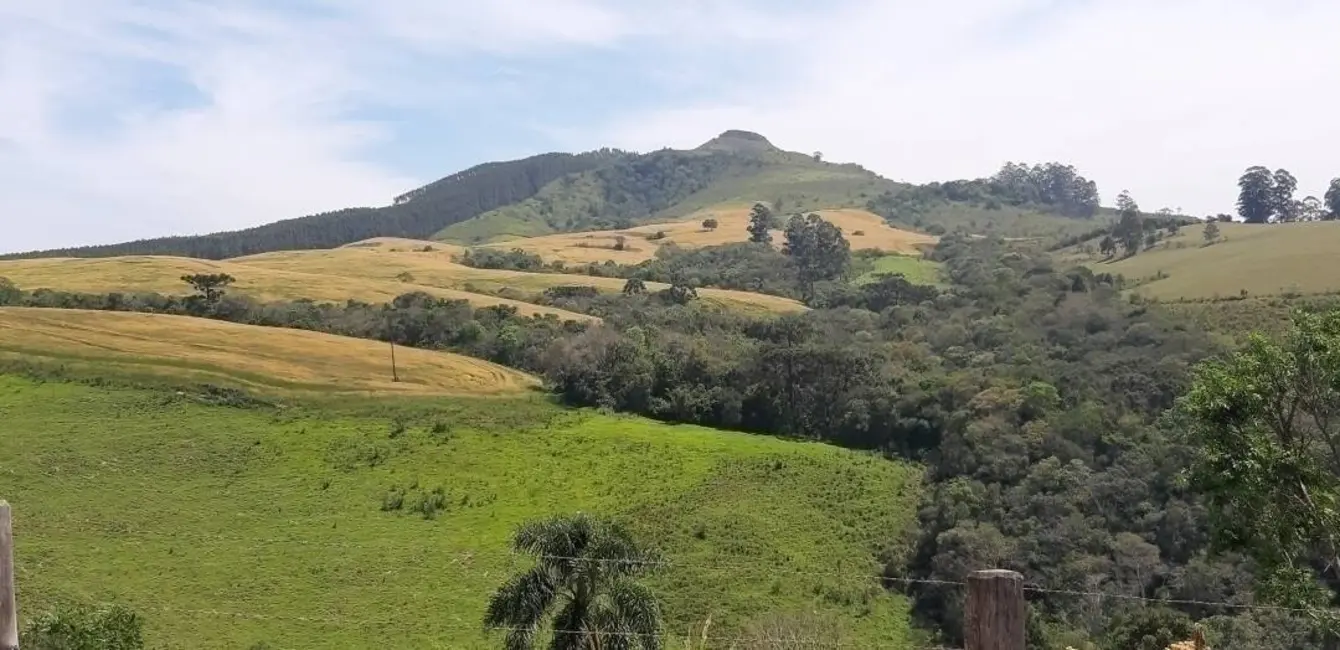 Foto 6 de Fazenda / Haras à venda, 60m2 em Reserva - PR