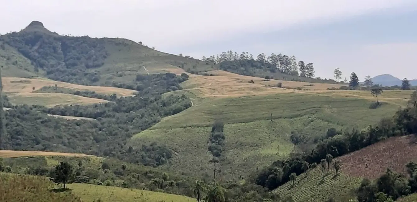 Foto 9 de Fazenda / Haras à venda, 60m2 em Reserva - PR