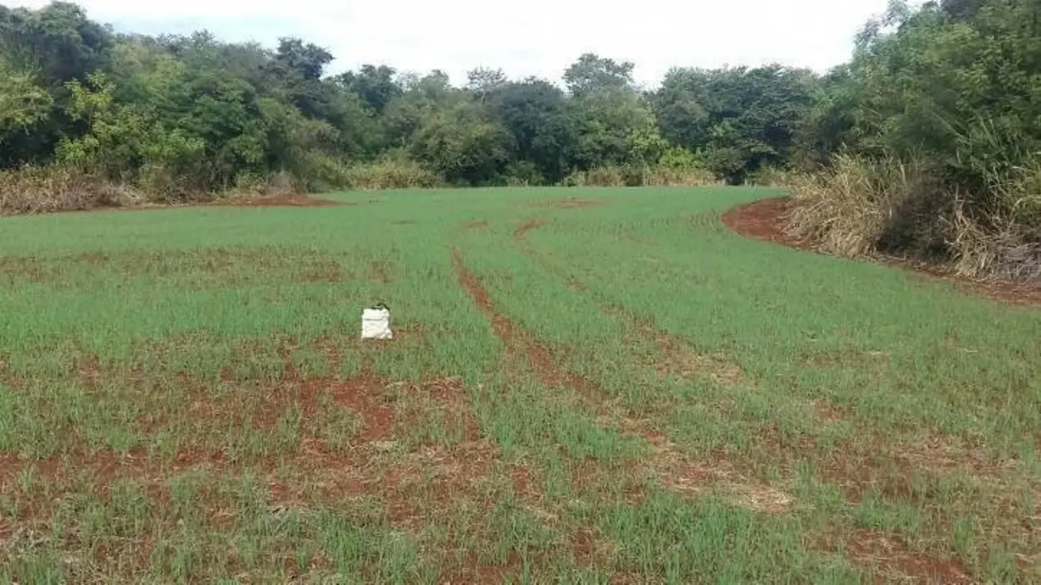 Foto 6 de Sítio / Rancho à venda, 18m2 em Assai - PR