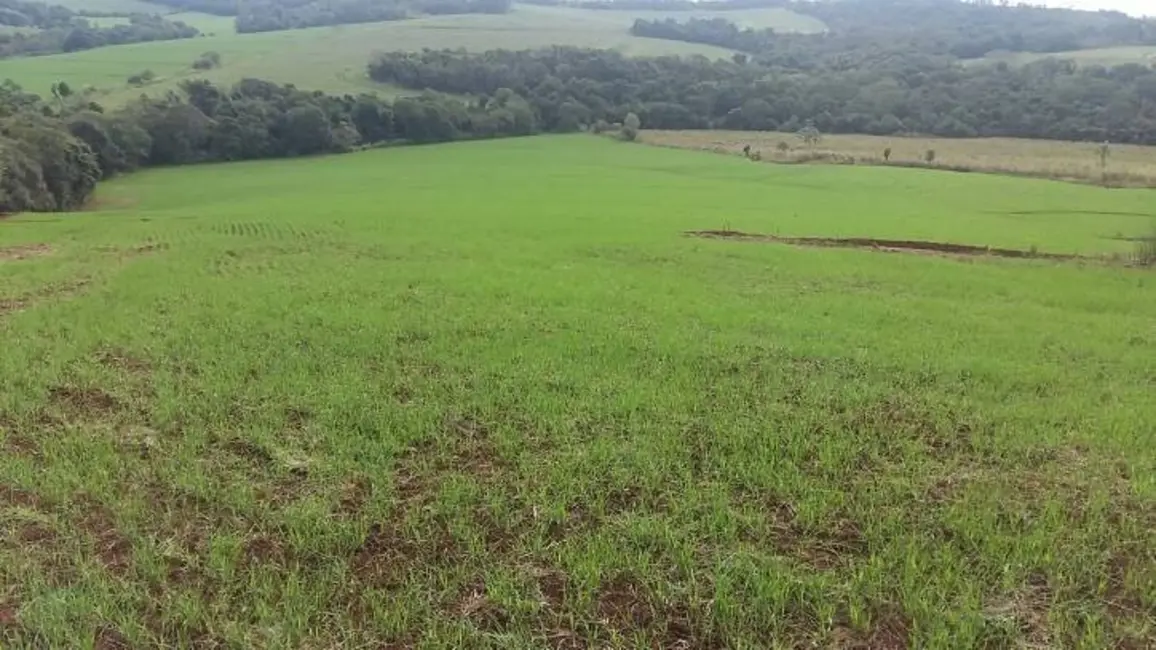 Foto 2 de Sítio / Rancho à venda, 18m2 em Assai - PR