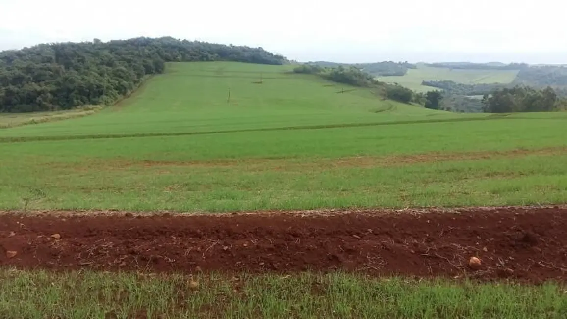 Foto 1 de Sítio / Rancho à venda, 18m2 em Assai - PR