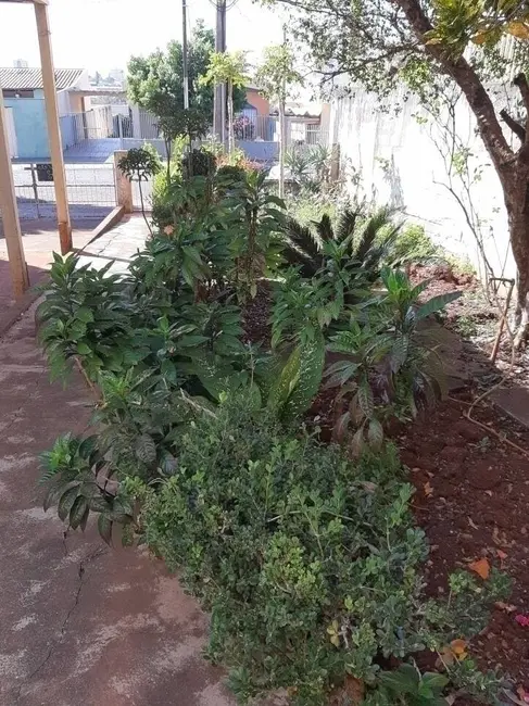 Casa com 3 quartos à venda, 415m2 em Centro, Londrina - PR - imagem 3 Foto 3 de Casa com 3 quartos à venda, 415m2 em Centro, Londrina - PR