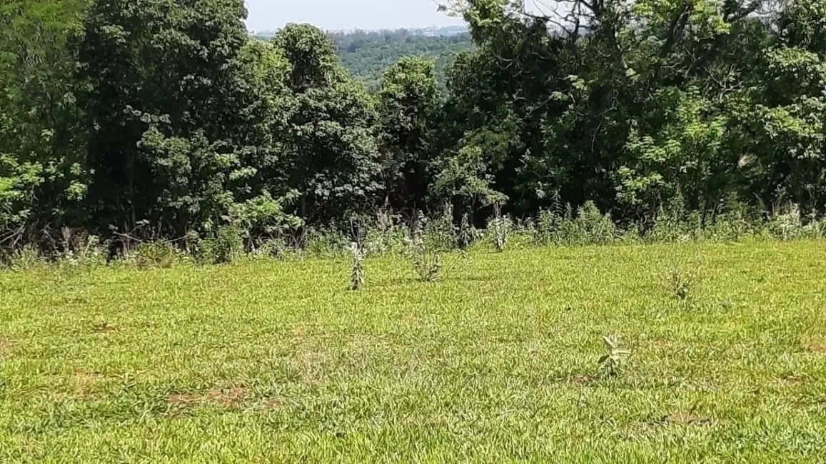 Sítio / Rancho à venda em Londrina - PR - imagem 5 Foto 5 de Sítio / Rancho à venda em Londrina - PR