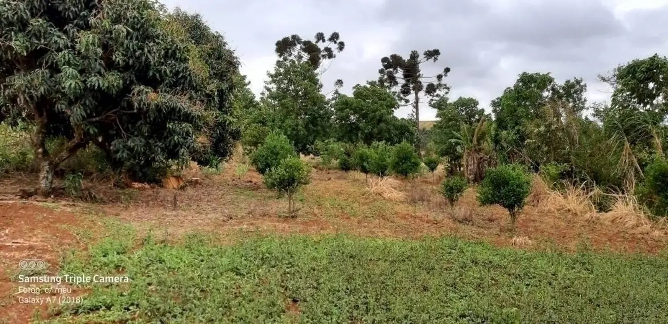 Sítio / Rancho à venda em Tamarana - PR - imagem 9 Foto 9 de Sítio / Rancho à venda em Tamarana - PR