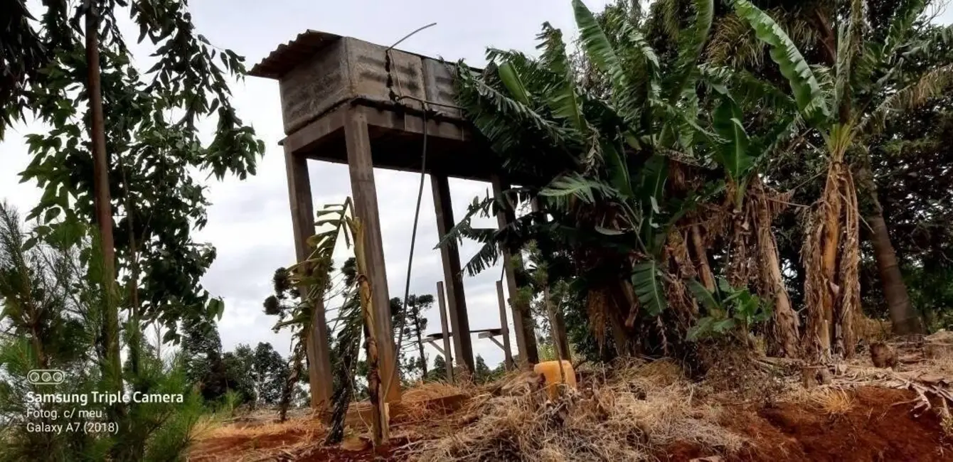 Sítio / Rancho à venda em Tamarana - PR - imagem 6 Foto 6 de Sítio / Rancho à venda em Tamarana - PR