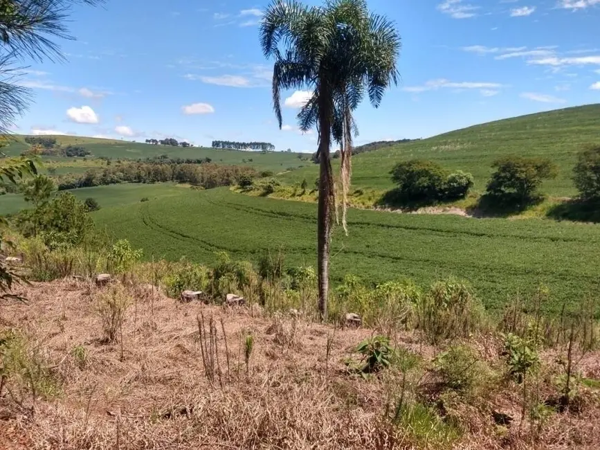 Foto 2 de Sítio / Rancho à venda em Tamarana - PR