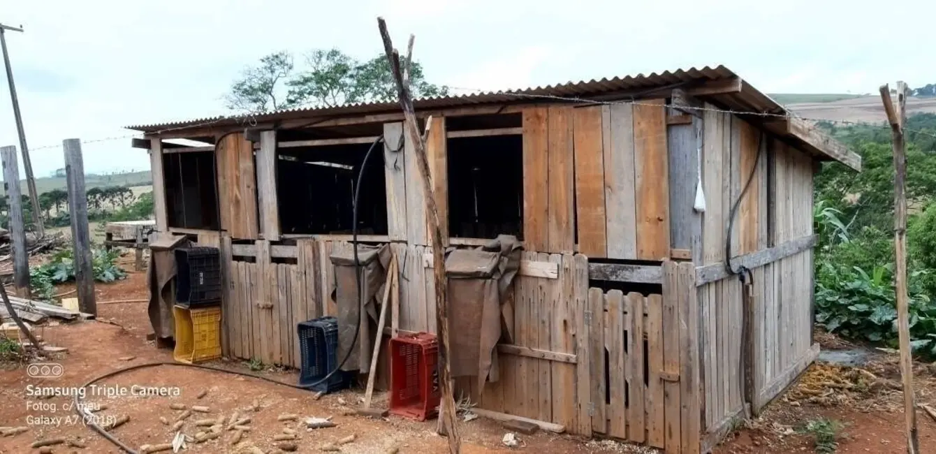 Sítio / Rancho à venda em Tamarana - PR - imagem 7 Foto 7 de Sítio / Rancho à venda em Tamarana - PR