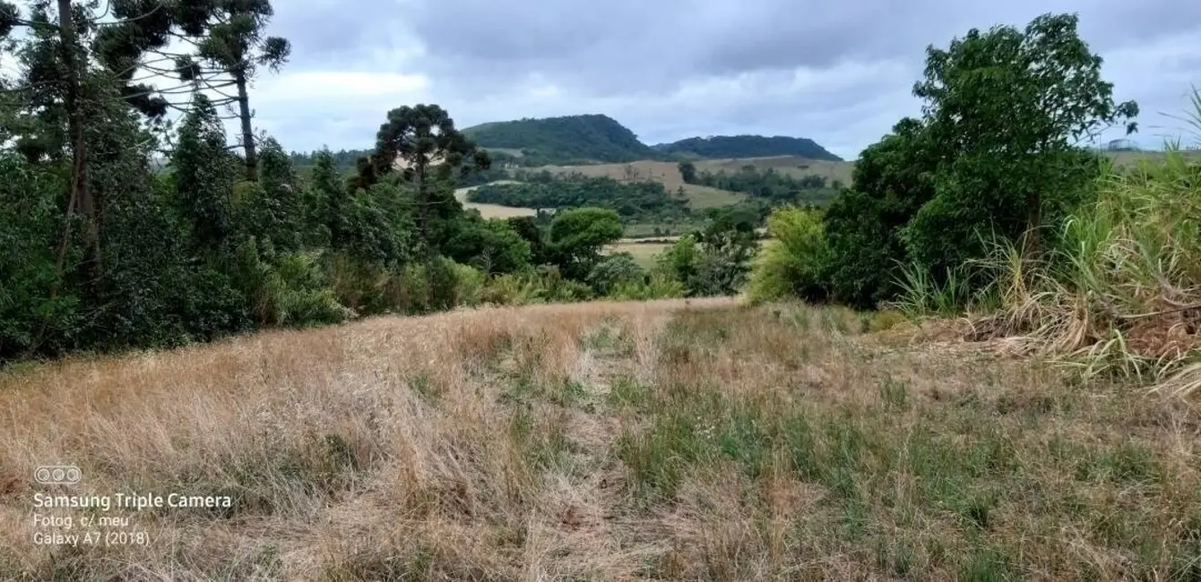 Sítio / Rancho à venda em Tamarana - PR - imagem 14 Foto 14 de Sítio / Rancho à venda em Tamarana - PR
