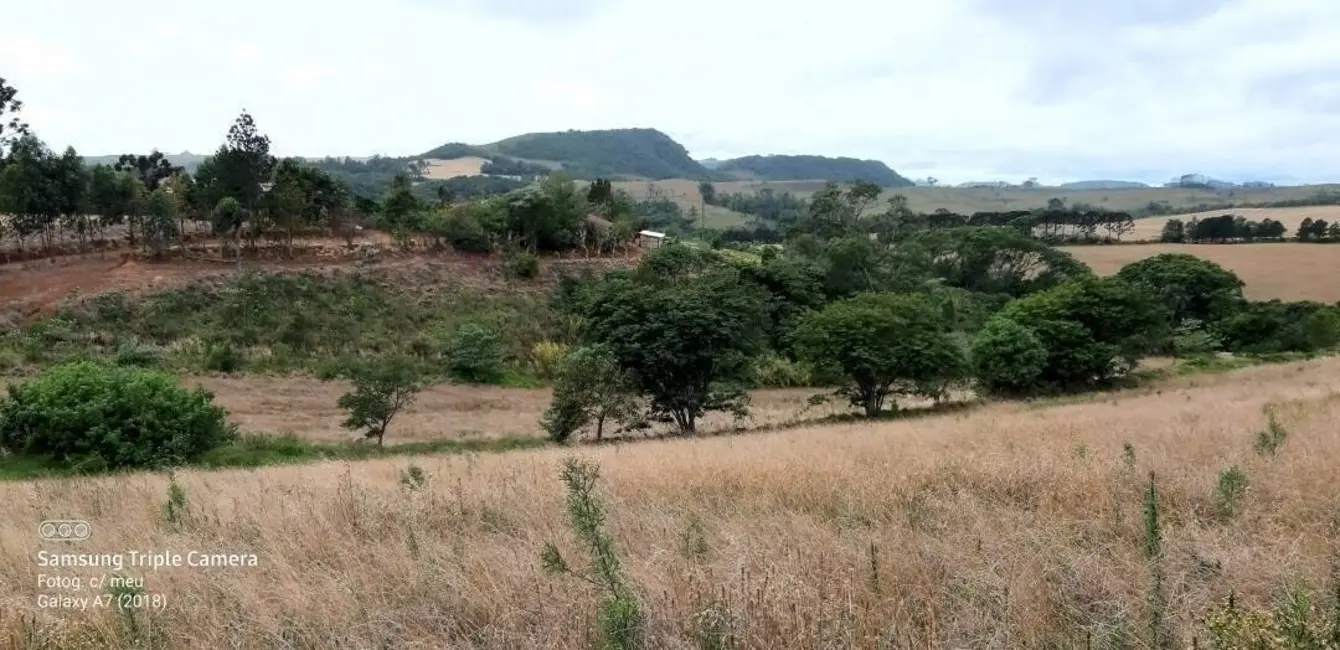 Sítio / Rancho à venda em Tamarana - PR - imagem 11 Foto 11 de Sítio / Rancho à venda em Tamarana - PR