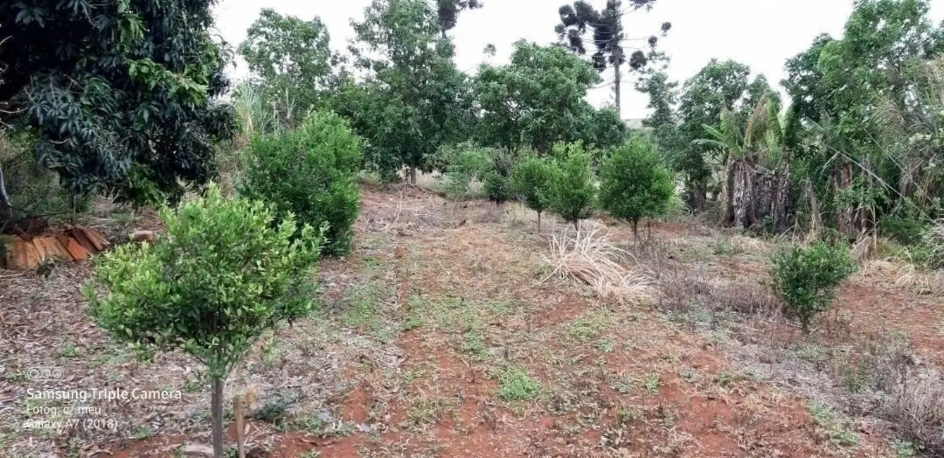 Sítio / Rancho à venda em Tamarana - PR - imagem 10 Foto 10 de Sítio / Rancho à venda em Tamarana - PR