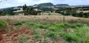 Imagem 13