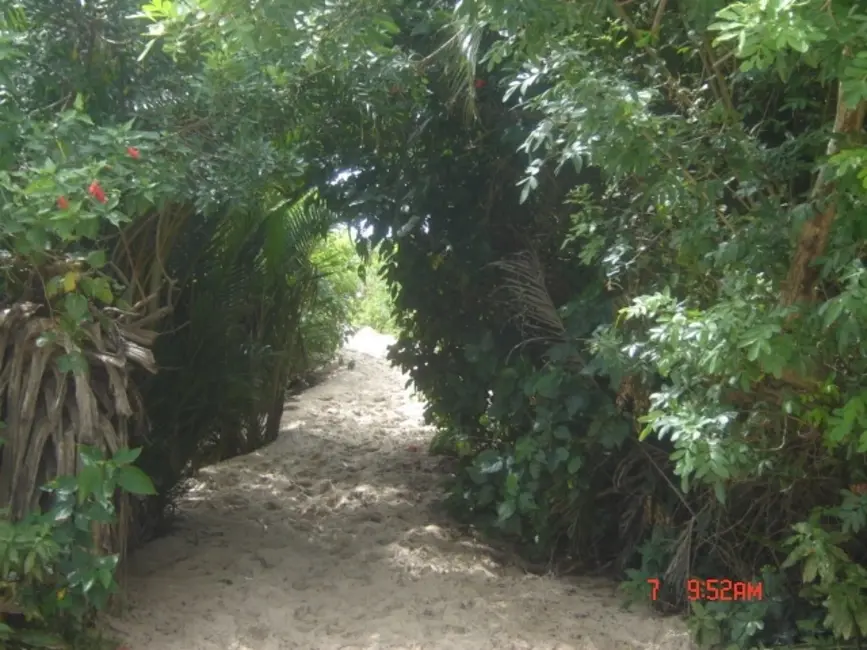 Foto 11 de Kitnet com 1 quarto para alugar, 50m2 em Campeche, Florianopolis - SC