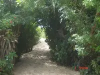 Imagem 11