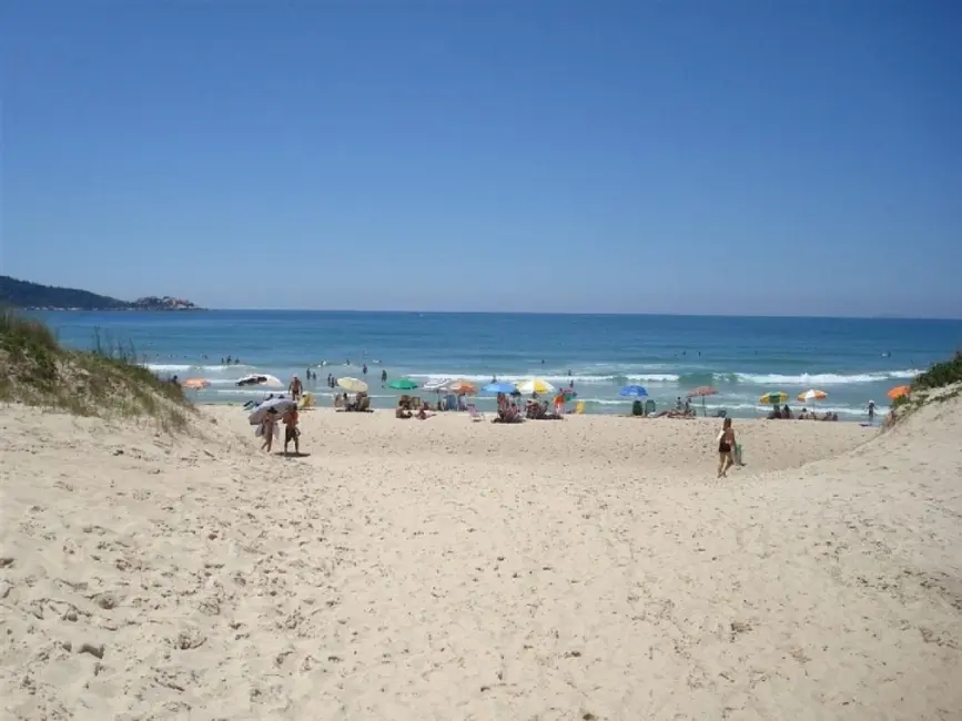Foto 14 de Kitnet com 1 quarto para alugar, 50m2 em Campeche, Florianopolis - SC