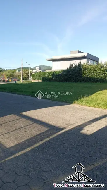Terreno / Lote à venda e para alugar, 533m2 em Campeche, Florianopolis - SC - imagem 5 Foto 5 de Terreno / Lote à venda e para alugar, 533m2 em Campeche, Florianopolis - SC