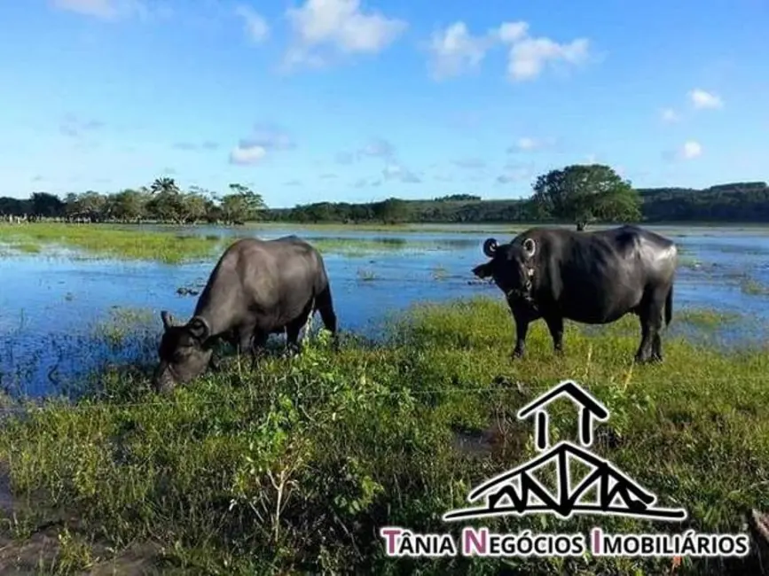 Foto 1 de Fazenda / Haras com 5 quartos à venda, 2000m2 em Santana Do Itarare - PR