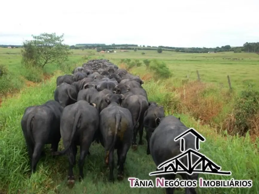 Foto 7 de Fazenda / Haras com 5 quartos à venda, 2000m2 em Santana Do Itarare - PR