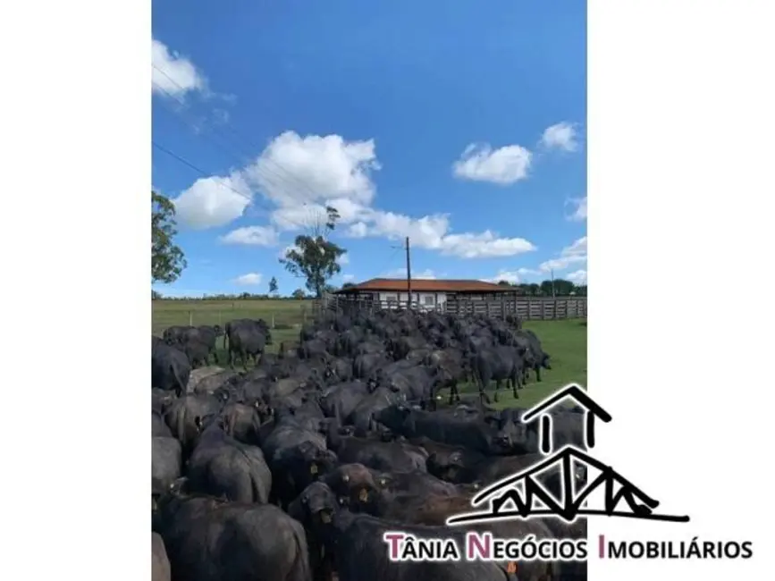 Foto 9 de Fazenda / Haras com 5 quartos à venda, 2000m2 em Santana Do Itarare - PR