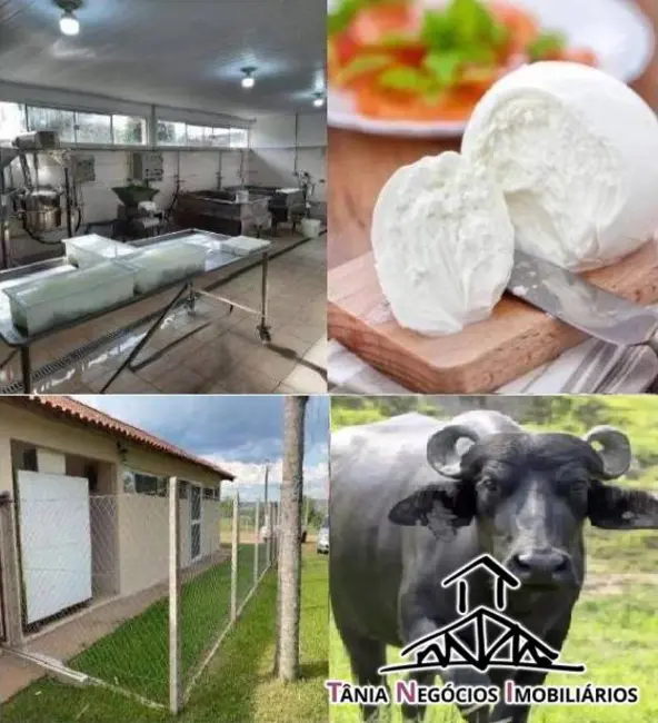 Foto 5 de Fazenda / Haras com 5 quartos à venda, 2000m2 em Santana Do Itarare - PR