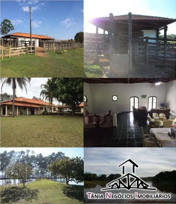 Foto 4 de Fazenda / Haras com 5 quartos à venda, 2000m2 em Santana Do Itarare - PR