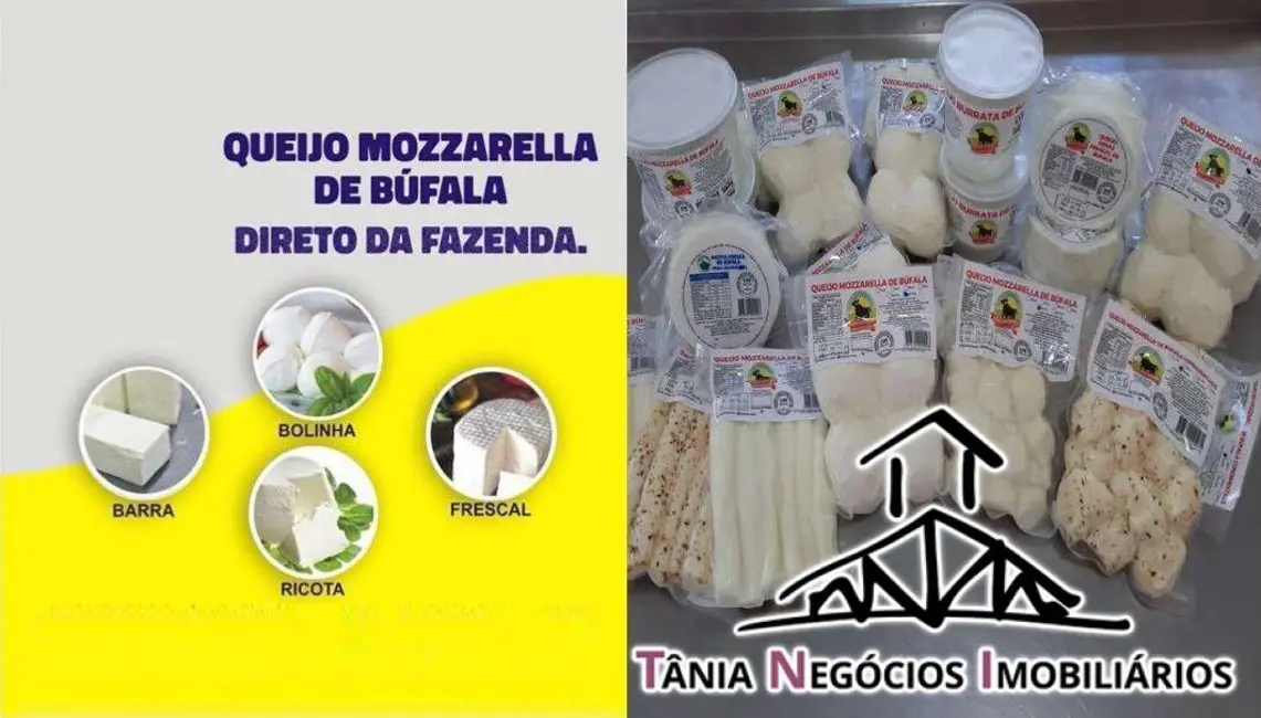 Foto 2 de Fazenda / Haras com 5 quartos à venda, 2000m2 em Santana Do Itarare - PR