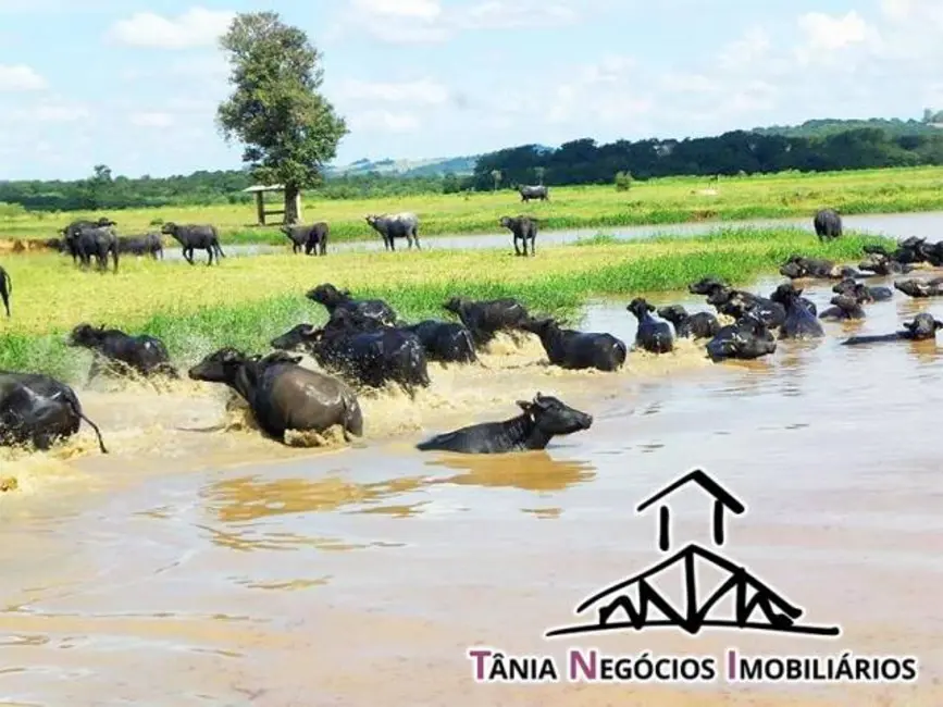 Foto 8 de Fazenda / Haras com 5 quartos à venda, 2000m2 em Santana Do Itarare - PR