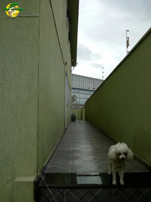 Sobrado com 3 quartos à venda, 180m2 em Vila Nova Cachoeirinha, São Paulo - SP - imagem 8 Foto 8 de Sobrado com 3 quartos à venda, 180m2 em Vila Nova Cachoeirinha, São Paulo - SP