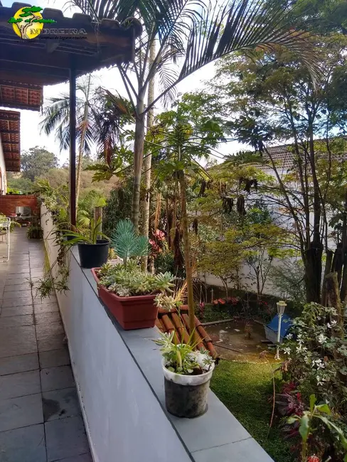 Foto 5 de Sala Comercial para alugar, 240m2 em Vila Amélia, São Paulo - SP